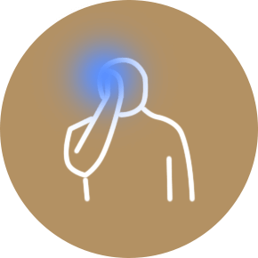 constitution6