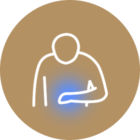 constitution7